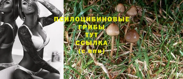 гашиш Абинск