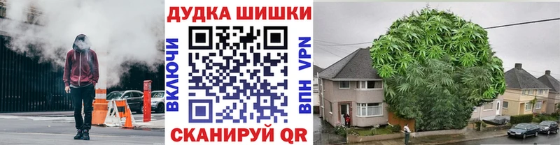 Конопля гибрид  Ахтырский 